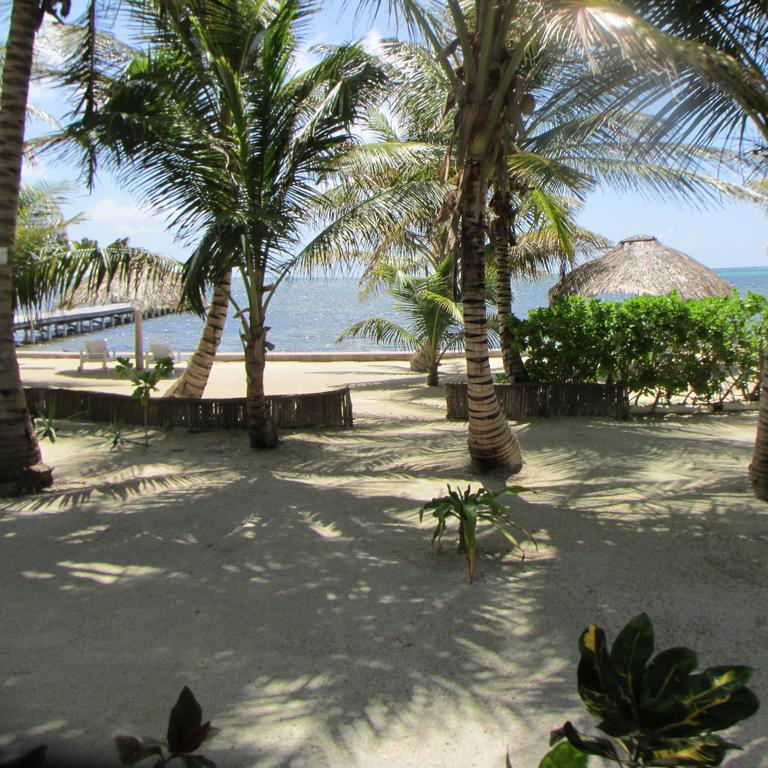 Cocotal Inn And Cabanas San Pedro  Exteriör bild